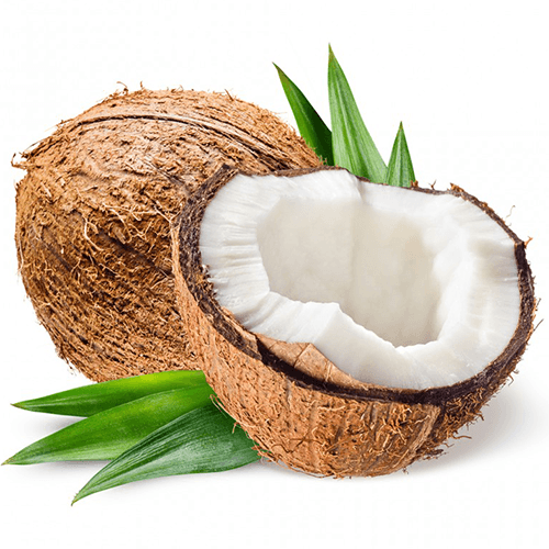 Coconut